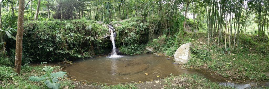 Dream Catcher Camp Tetebatu Exterior photo