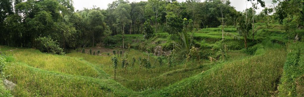 Dream Catcher Camp Tetebatu Exterior photo